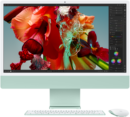 Màn hình iMac hiển thị hình ảnh một bông hoa đầy màu sắc trong Adobe Lightroom để phô diễn dải màu và độ phân giải của màn hình Retina 4,5K.