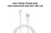 Picture of Lightning to USB Cable 1m