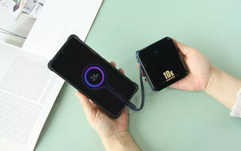 Ảnh của  Sạc dự phòng QC 22.5W + PD 18W Multi-Compatible Cabled Power Bank 10000mAh RPP-285