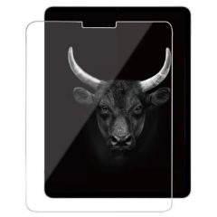 Picture of iPad Pro 12.9 inch Mipow Kingbull Screen Protector