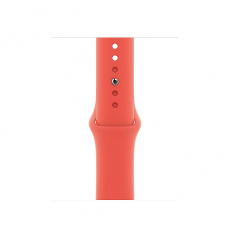 Ảnh của Dây đeo Apple Watch 40mm Sport Band - Chính hãng Apple