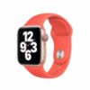 Ảnh của Dây đeo Apple Watch 40mm Sport Band - Chính hãng Apple