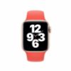 Ảnh của Dây đeo Apple Watch 40mm Sport Band - Chính hãng Apple