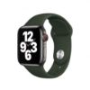 Picture of Watch Band 44mm Sport Band - Genuine Apple  
