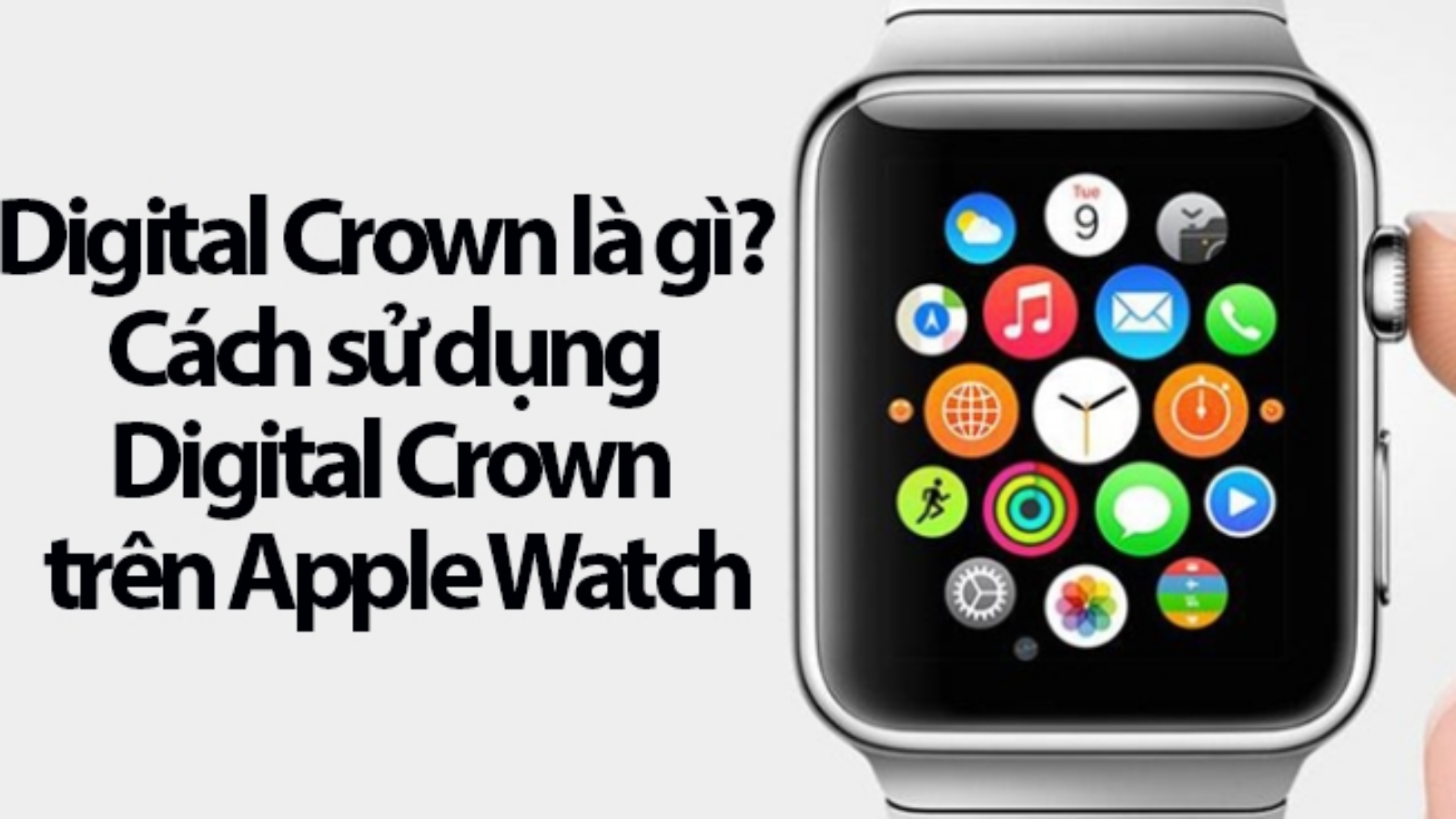 Hình ảnh cho danh mục Digital Crown trên Apple Watch là gì? 8+ Cách dùng cực TIỆN LỢI