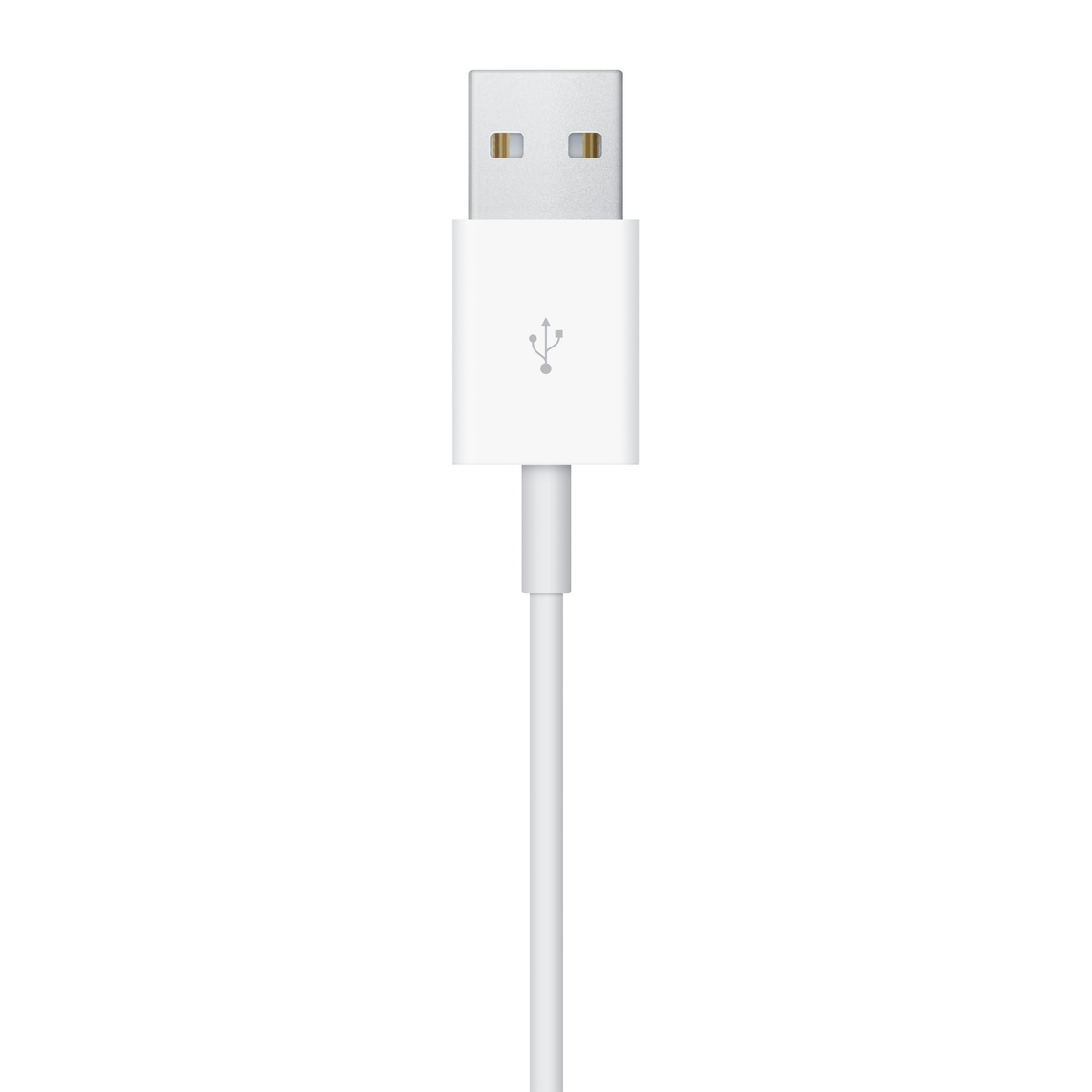 Ảnh của Cáp Sạc Apple Watch Magnetic To USB Cable 1M 