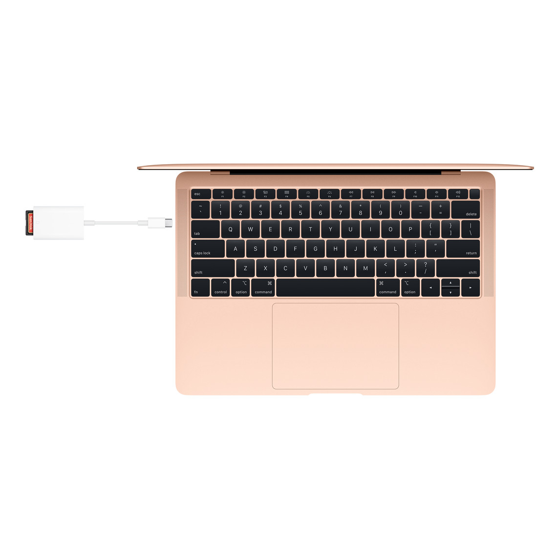 Ảnh của Đầu Đọc Thẻ SD sang USB-C
