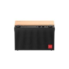 Ảnh của Loa Fender Elie E12