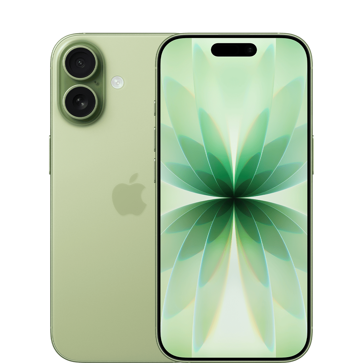 Ảnh của iPhone 17 | 256GB | Cũ đẹp (Đủ hộp,PK)