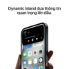 Ảnh của iPhone 15 | 256GB | Cũ đẹp (Đủ hộp,PK)