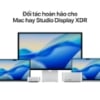 Ảnh của Studio Display Standard Glass