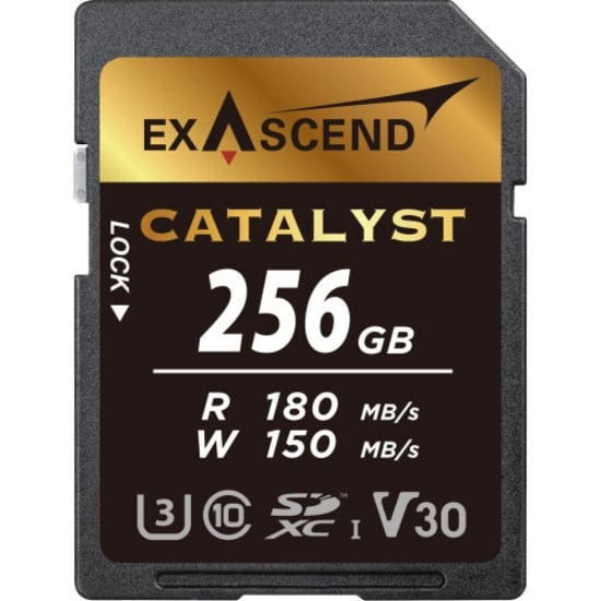 Ảnh của Thẻ nhớ Exascend V30 256GB read 180MB/s EX256GSDU1 - Đen 