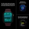 Ảnh của Apple Watch Series 12 42mm (GPS + Cellular) Milanese Loop