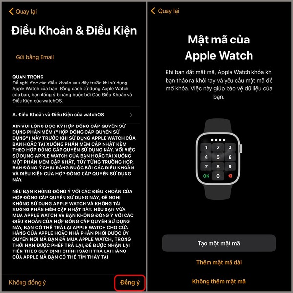 Đồng ý với các điều khoản và tạo mật mã cho Apple Watch Series 8  