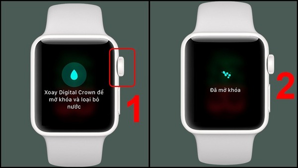 Bạn nên mở chế độ khóa nước trên Apple Watch trước khi xuống nước để vô hiệu hóa màn hình nhằm tránh thao tác ấn nhầm không mong muốn
