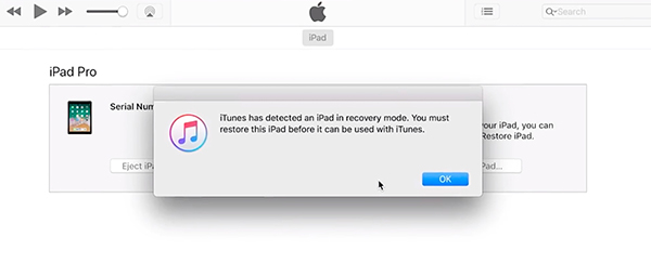 Mở khóa iPad dù không kết nối iCloud hay đồng bộ iTunes